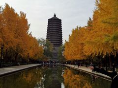 -玲珑塔公园