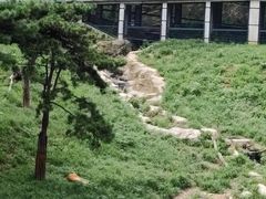 -大连森林动物园