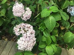 -云里小坐·小院里·团建·宴请·下午茶(三圣乡店)