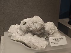 -贵州省地质博物馆