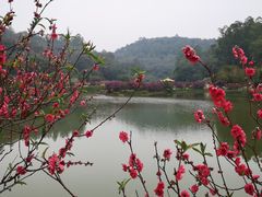 -南国桃园旅游度假区