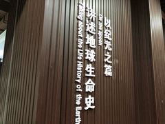 -贝壳王国博物馆