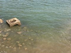 -东疆建设开发纪念公园