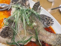 -永記粤菜·五指毛桃花雕鸡煲(九亭店)