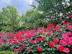 -杏花村文化旅游区