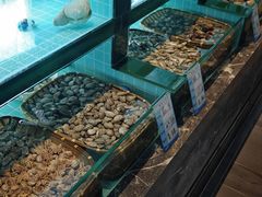 -燃燃小黄鱼(隆昌店)