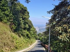 -黄埔油麻山森林公园