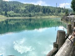 -武陵山森林公园