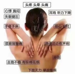 -香薇妮丝·定制减肥·身材管理