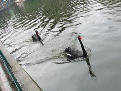 -昆明动物园