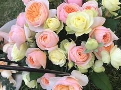 -亭亭鲜花店(中山北路店)