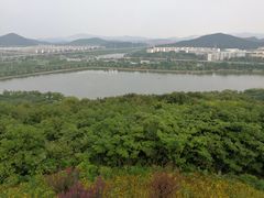 -羊山湖公园