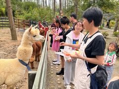 -合肥滨湖国家森林公园