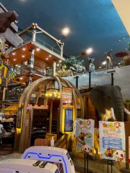 -卡通尼·Safari非洲探索乐园·生日会(金桥国际商业广场店)