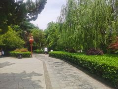 -郑和公园