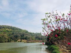 -南国桃园旅游度假区