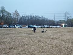 -蓝地时尚庄园(北京清河营地铁站店)