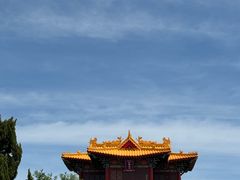 -曹州牡丹园