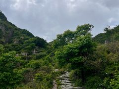 -阳台山自然风景区