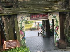 -大湾区中央湿地公园