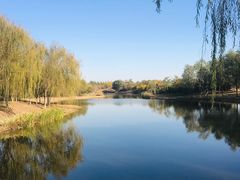 -东郊湿地公园