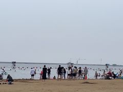 -碧海金沙