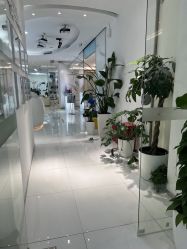 -agge蛋白医美