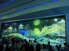 -海合安成都极地海洋公园