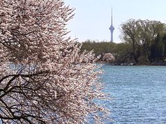-颐和园