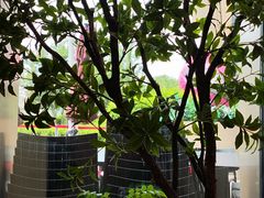 -金鼎轩(鸟巢北辰荟店)