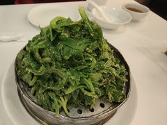 -金春禧(世茂国际广场店)