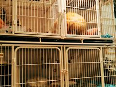-小时光咖啡馆(北锣鼓巷店)