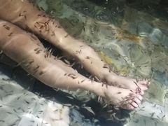 -徂徕山森林康养度假谷温泉