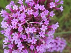 -圆融购物中心(南天成路店)