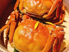 清蒸大闸蟹-蟹榭·本帮江浙菜·蟹宴(五角场合生汇商场店)