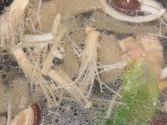 -同仁四季椰子鸡(无锡滨湖万象汇店)