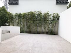 -Bracket Coffee(银河SOHO店)