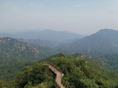 -大岭沟猕猴桃谷风景区