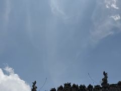 -陈家祠堂-游客中心