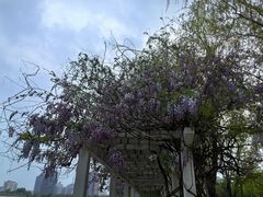-莲花池公园