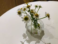 -Pie Bird(新闸路店)