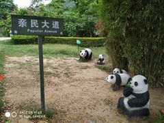 -亚龙湾国际玫瑰谷