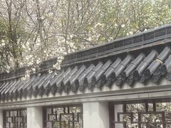 -堤角公园