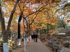 -虞山风景区