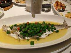 青花椒蒸白水鱼-荣兴酒家(徐家汇店)