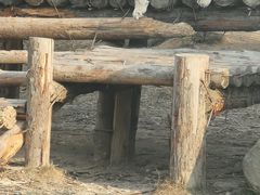 -泉州海丝野生动物世界