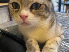 -平行世界·猫咖(首经贸店)