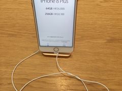 -Apple 零售店(Canton Road)