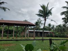 -海南热带野生动植物园