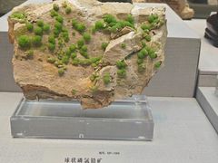 -湖南省地质博物馆